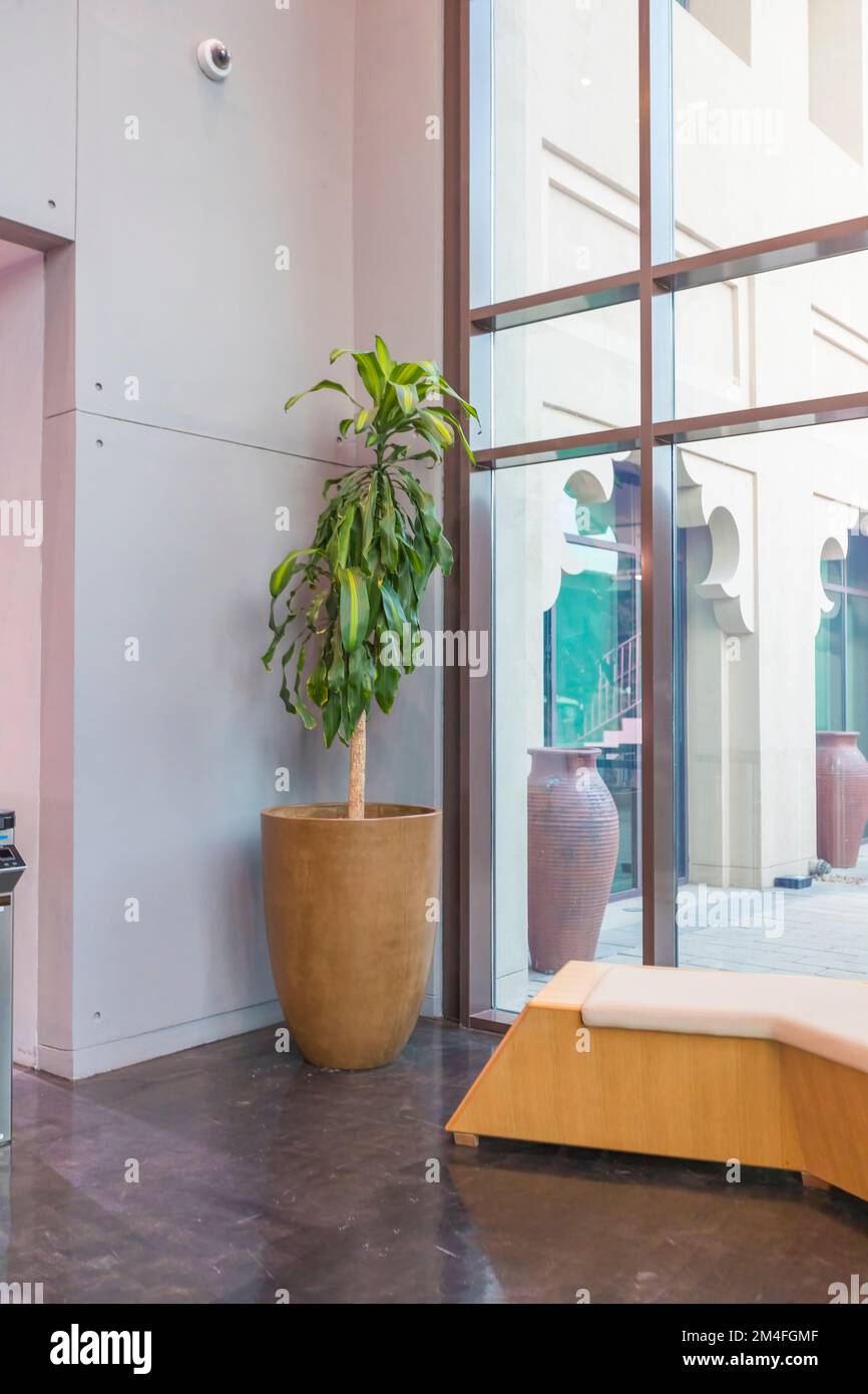 Vista su un elegante e moderno ufficio con un'area di benvenuto. Foto Stock