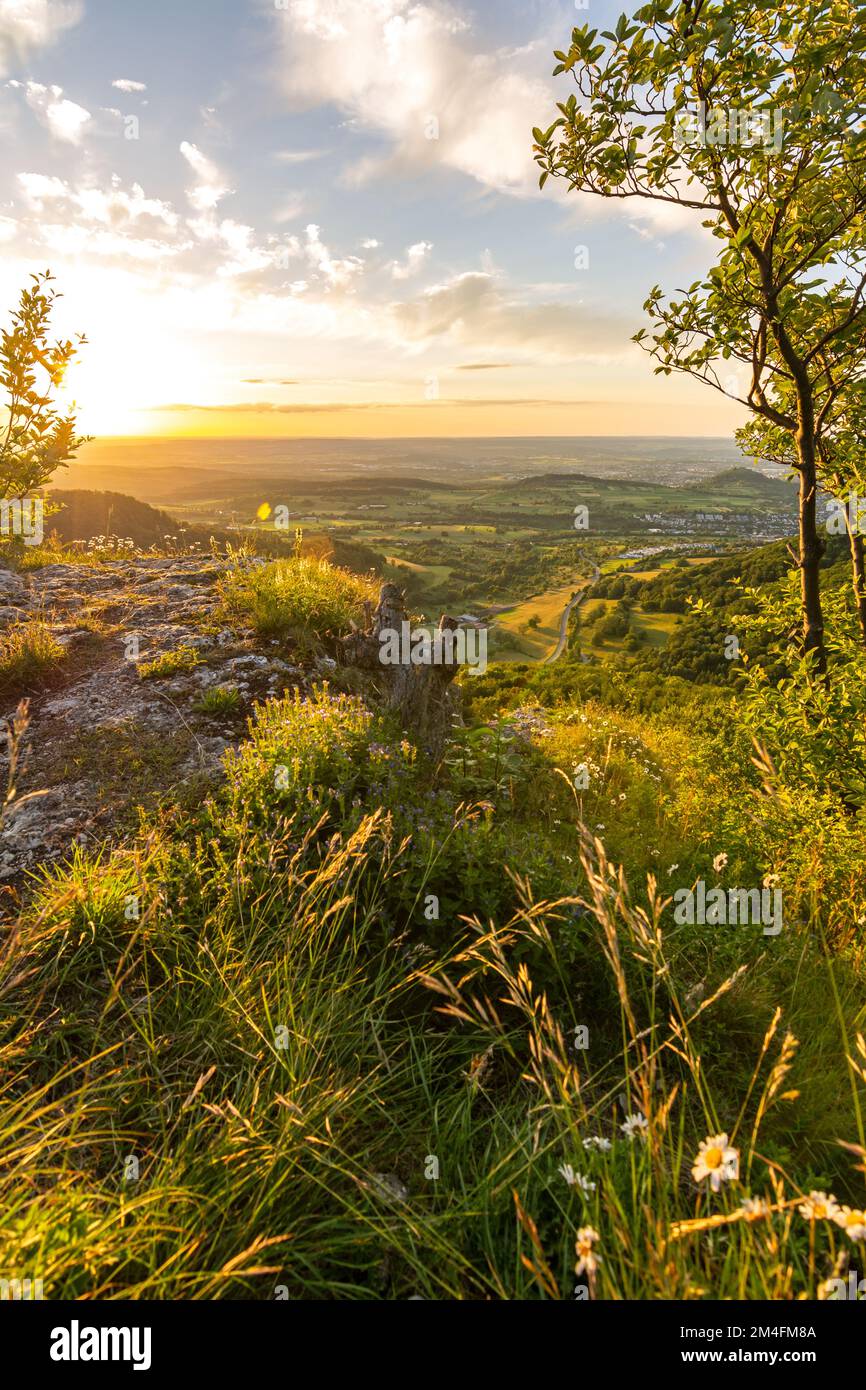 Tramonto panoramico sulla flora tipica di montagna su una sporgenza rocciosa nel Giura svevo nella Germania meridionale Foto Stock