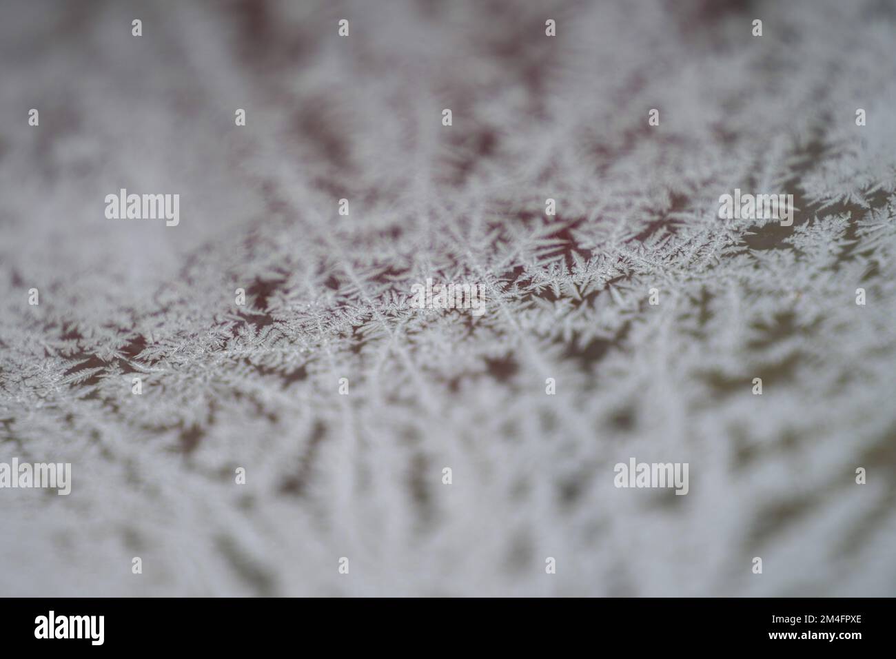 una vista astratta del gelo della finestra, del gelo della felce, dei fiori del ghiaccio Foto Stock