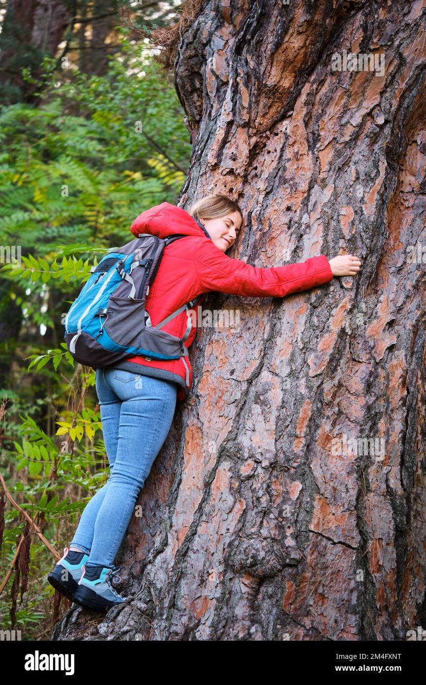 Sorridente escursionista che abbraccia un grande albero nella foresta. Foto Stock