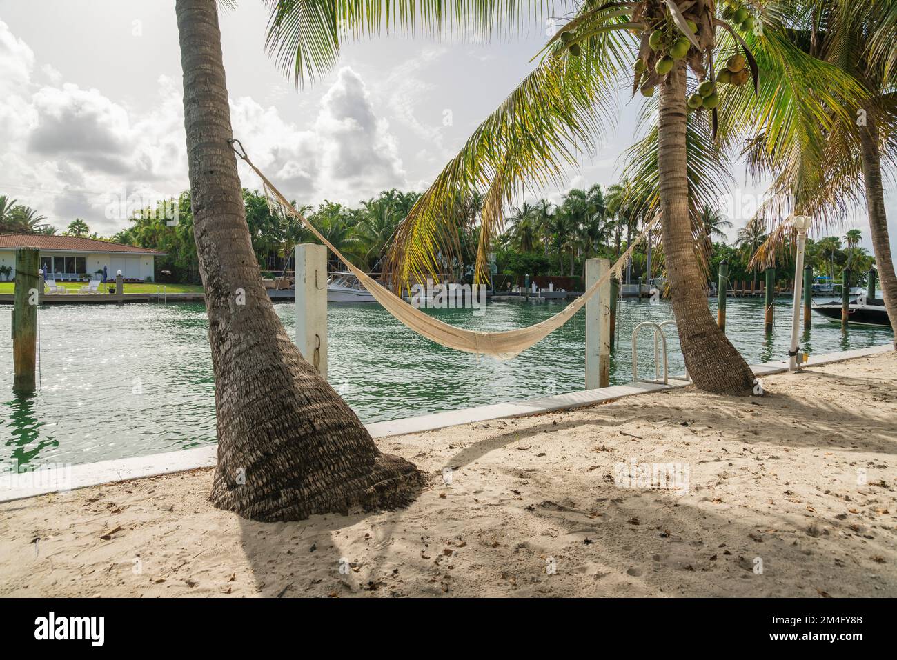 Amaca bianca di lino legata su due alberi di cocco vicino all'acqua alla baia di Miami, Florida. Amaca su una spiaggia di sabbia bianca vicino ai pali del molo e una v Foto Stock