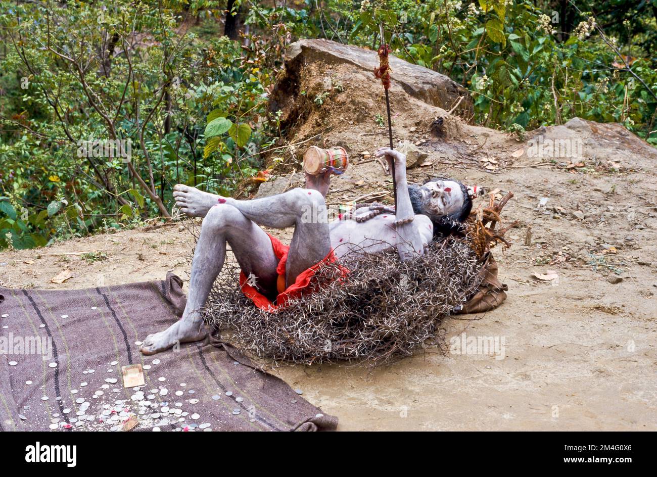 Sadhu, uomo santo, che chiede la donazione giacendo in cespugli di spina. Haridwar Foto Stock