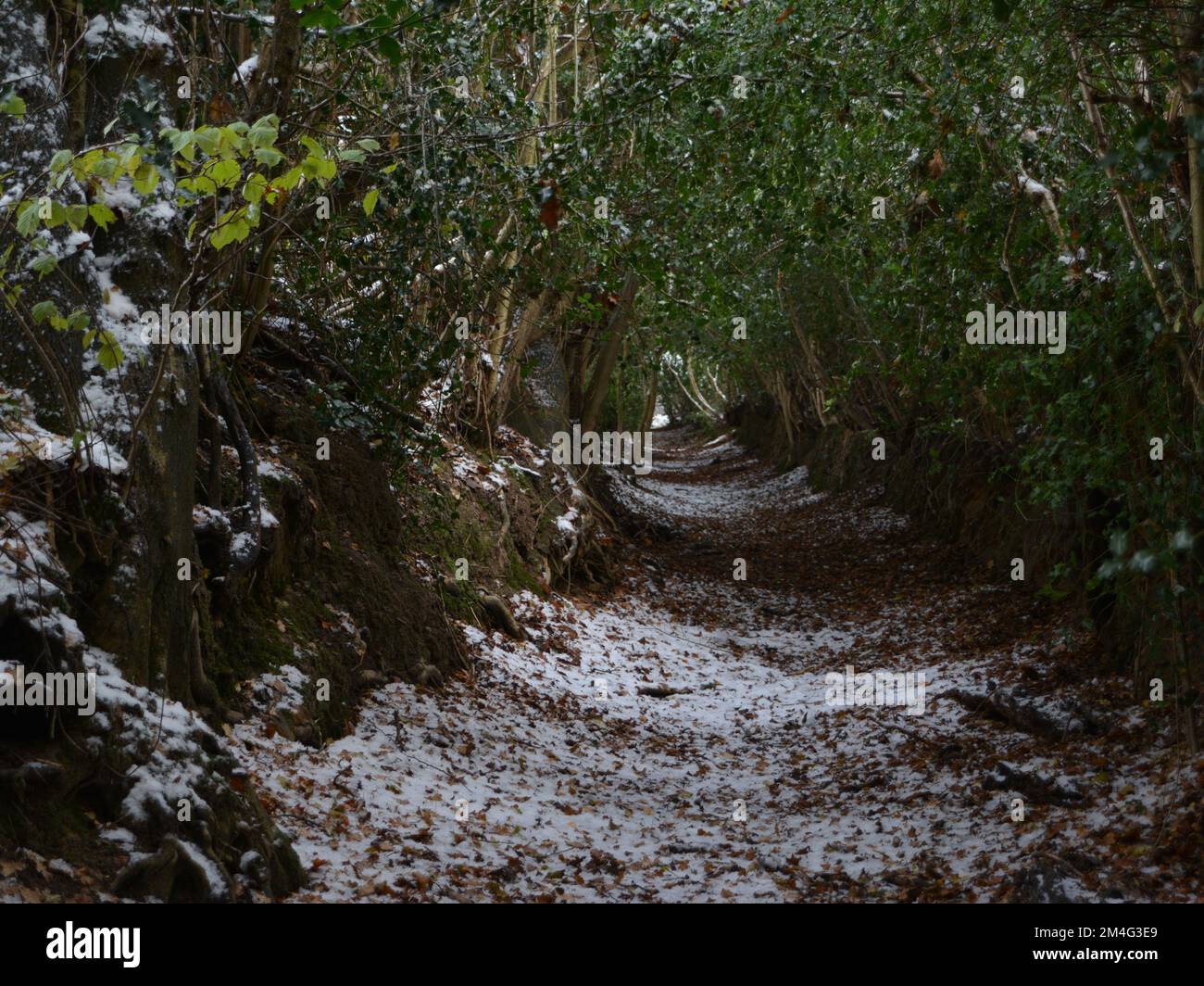 Antiche strade del kent e del sussex a Staplecross Foto Stock