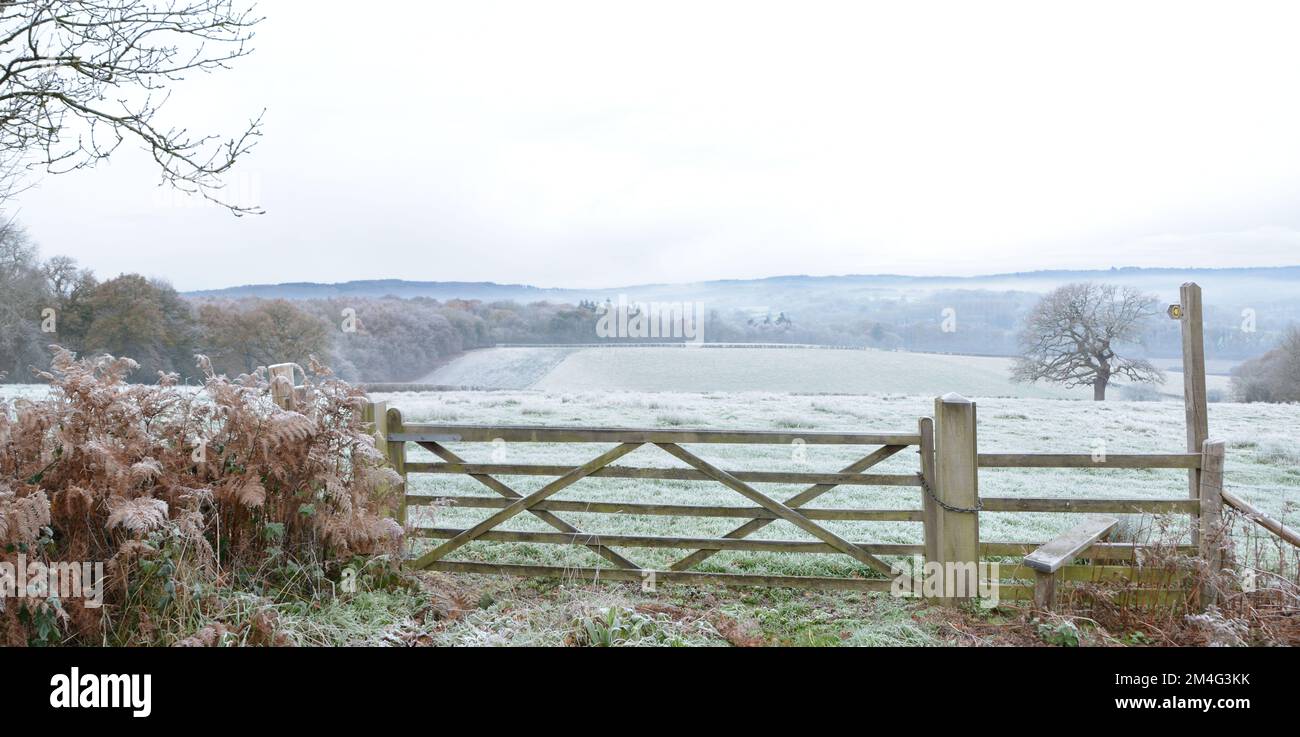 Vista gelida su wealden del Kent e del Sussex Foto Stock