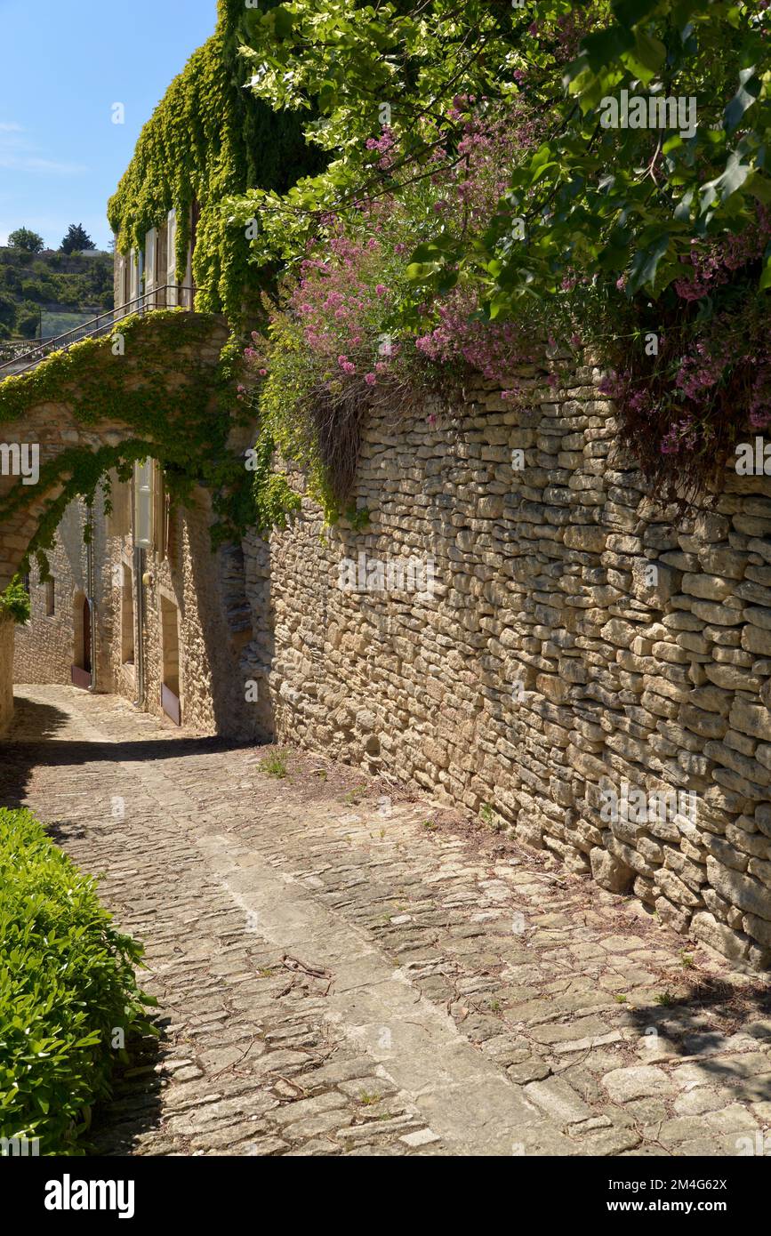 Vicolo fiorito nel borgo arroccato di Gordes nel Luberon Foto stock - Alamy