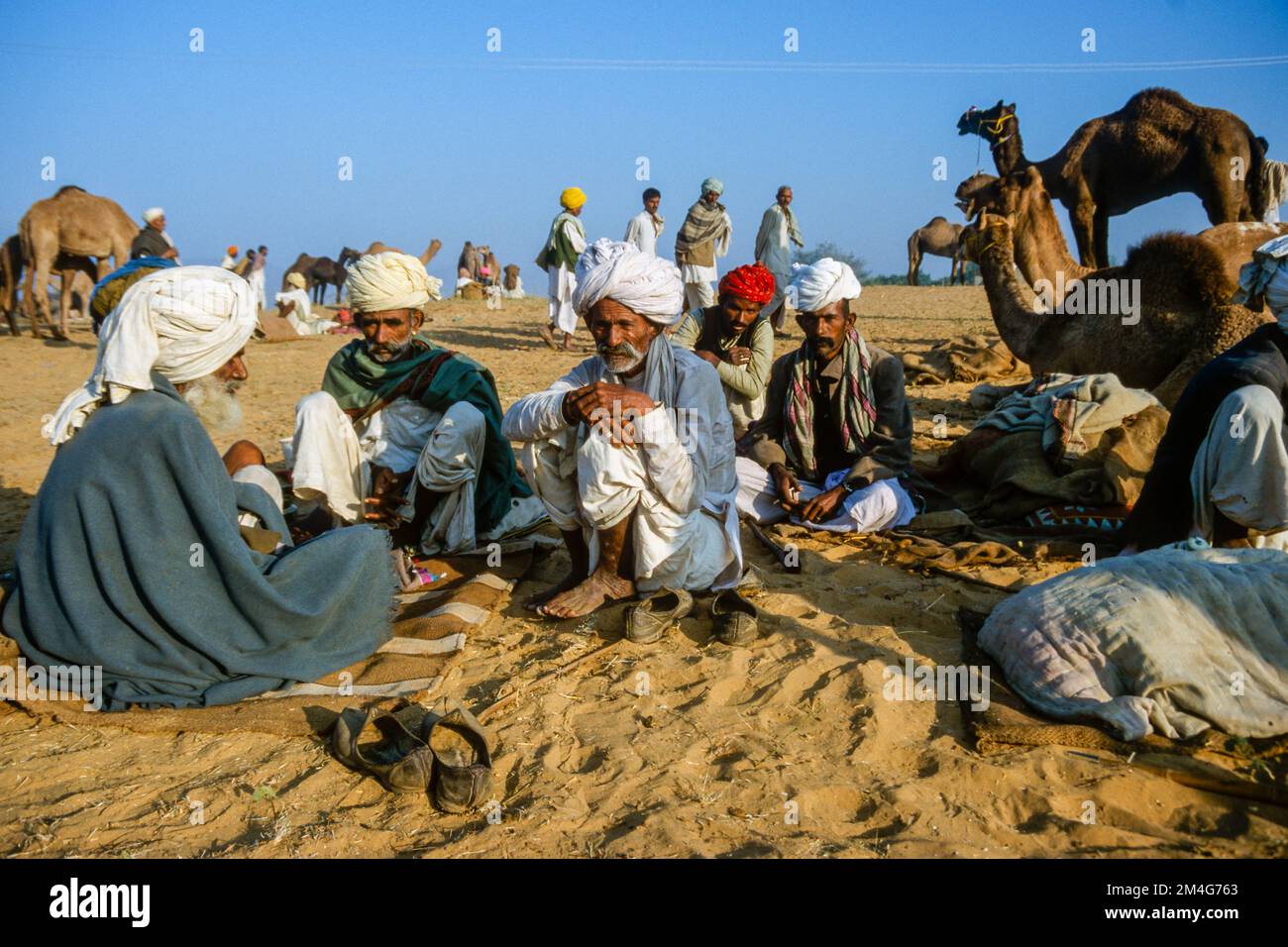 Pushkar Camel Fair, uno dei più grandi camel-mercati in Asia Foto Stock