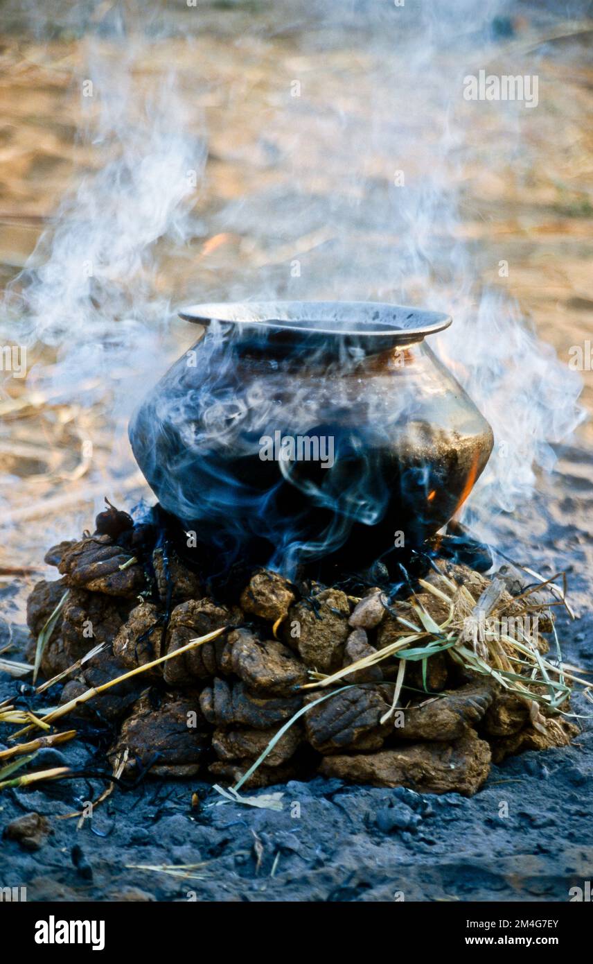 Cucinare in una pentola sul fuoco fatto di cameldung essiccato durante Pushkar Camel Fair, uno dei più grandi cammelli-mercati in Asia. Foto Stock