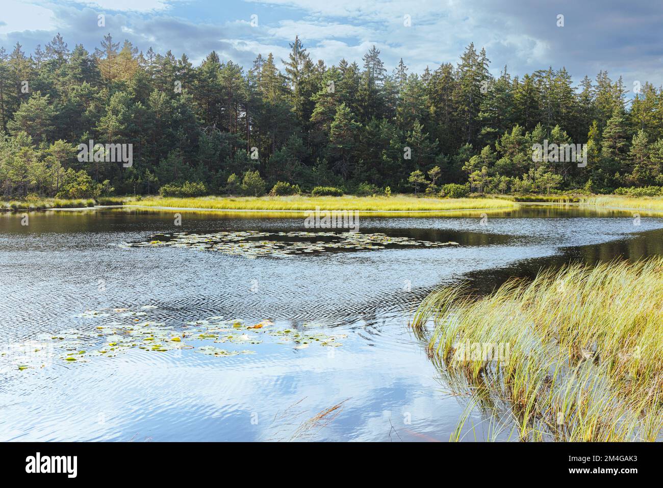 Grundloser See, piccolo lago di palude con tappeto galleggiante nella zona di siltazione, buco di ghiaccio, Germania, Baviera Foto Stock