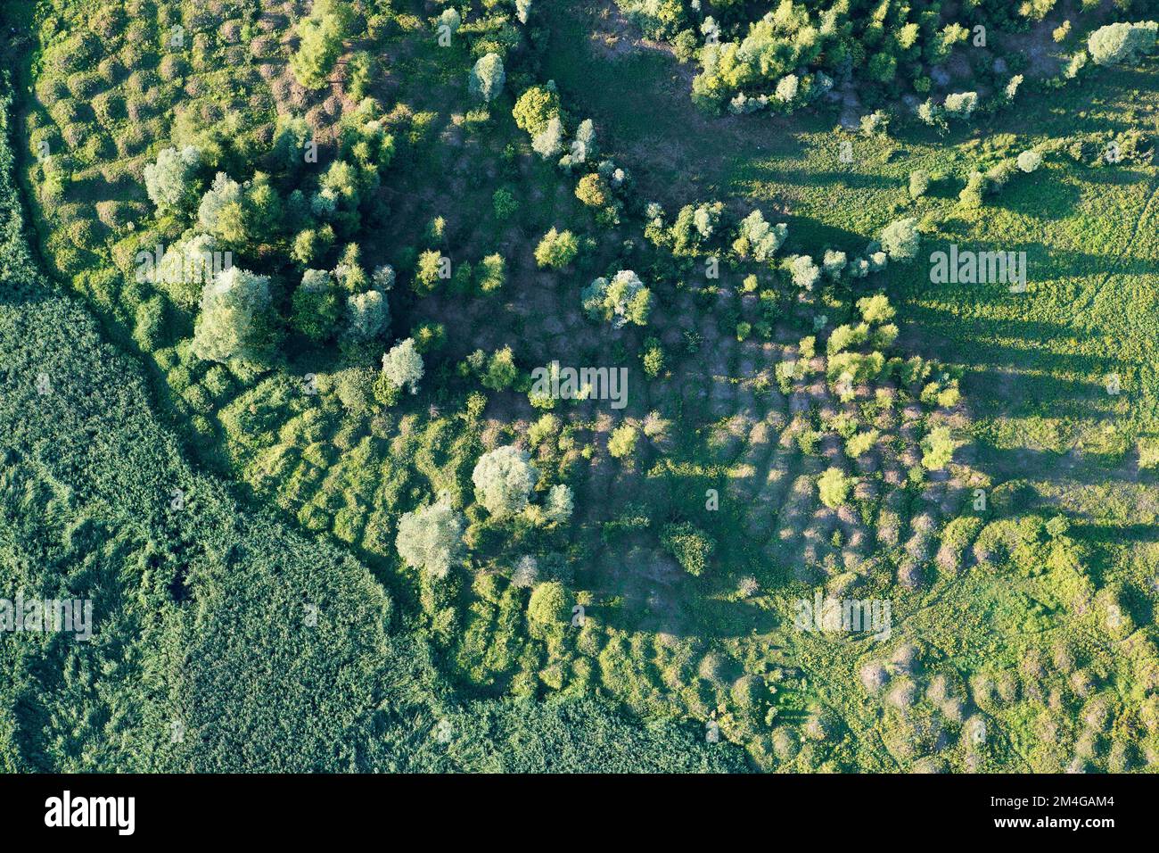 Area di compensazione ecologica Linkeroever, vista aerea, Belgio, Anversa Foto Stock