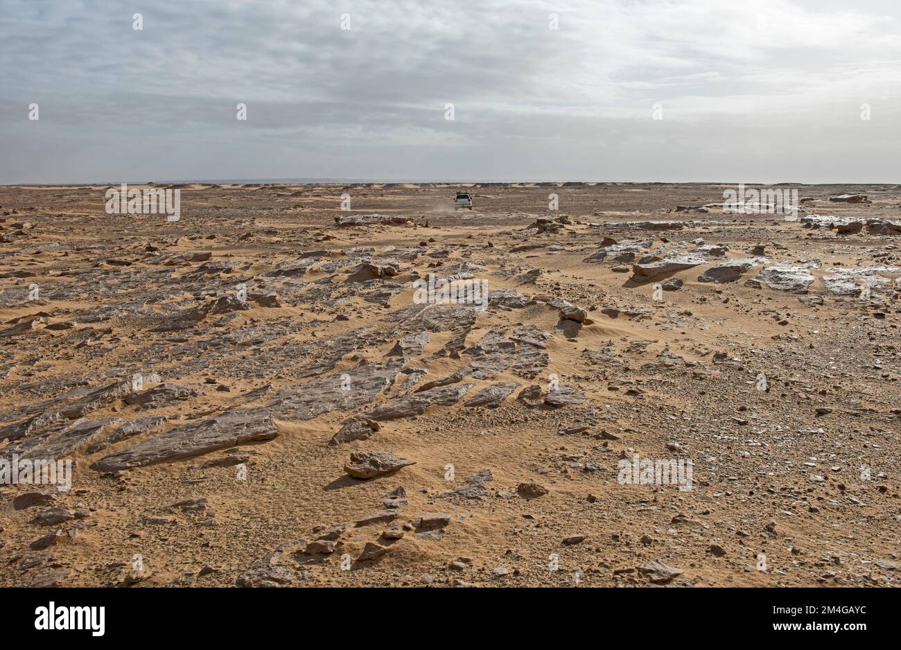 Vista panoramica del deserto desolato e arido occidentale in Egitto con vista rocciosa e veicolo fuoristrada Foto Stock