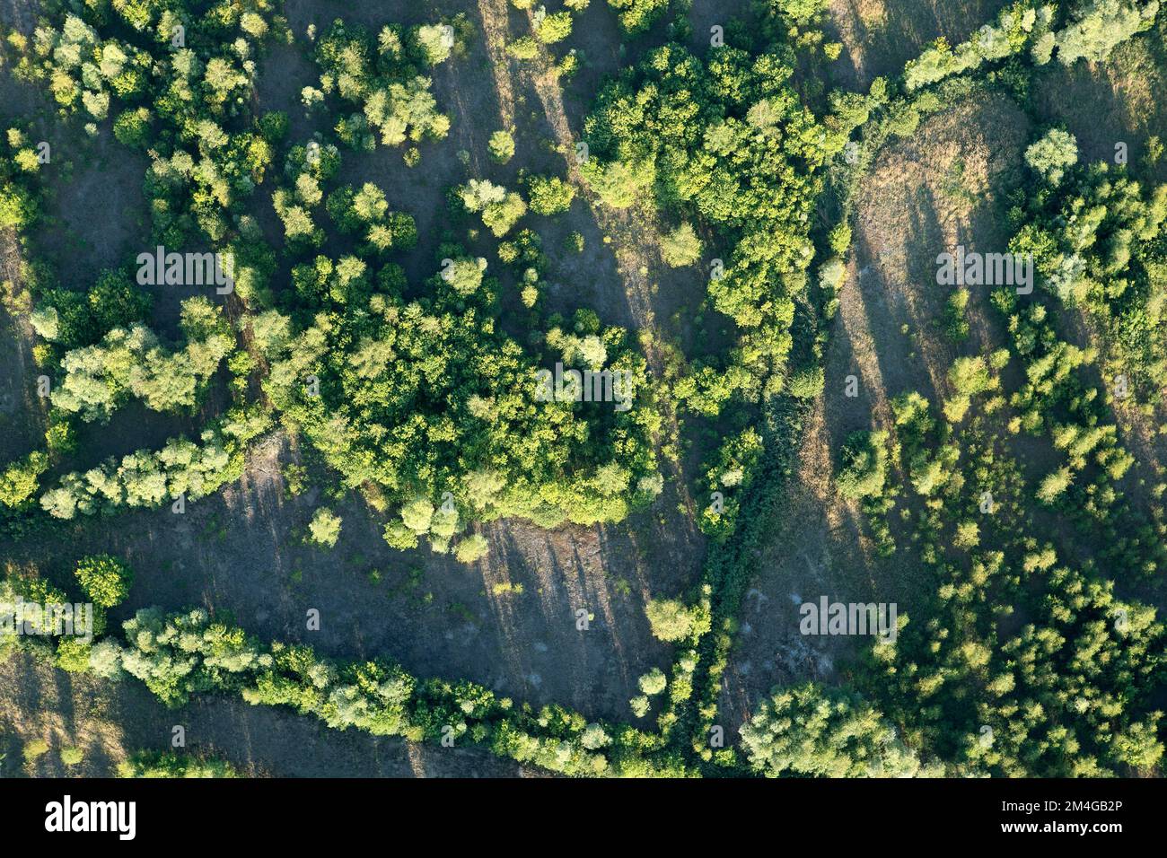 Riserva naturale Verrebroekse plassen, vista aerea, Belgio, Anversa Foto Stock