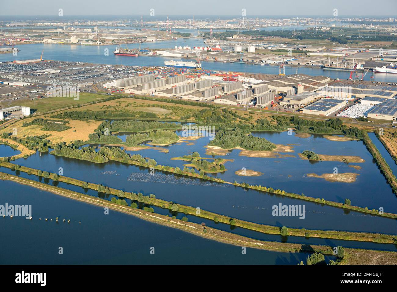 Riserva naturale Verrebroekse plassen al porto di Anversa, vista aerea, Belgio, Anversa Foto Stock