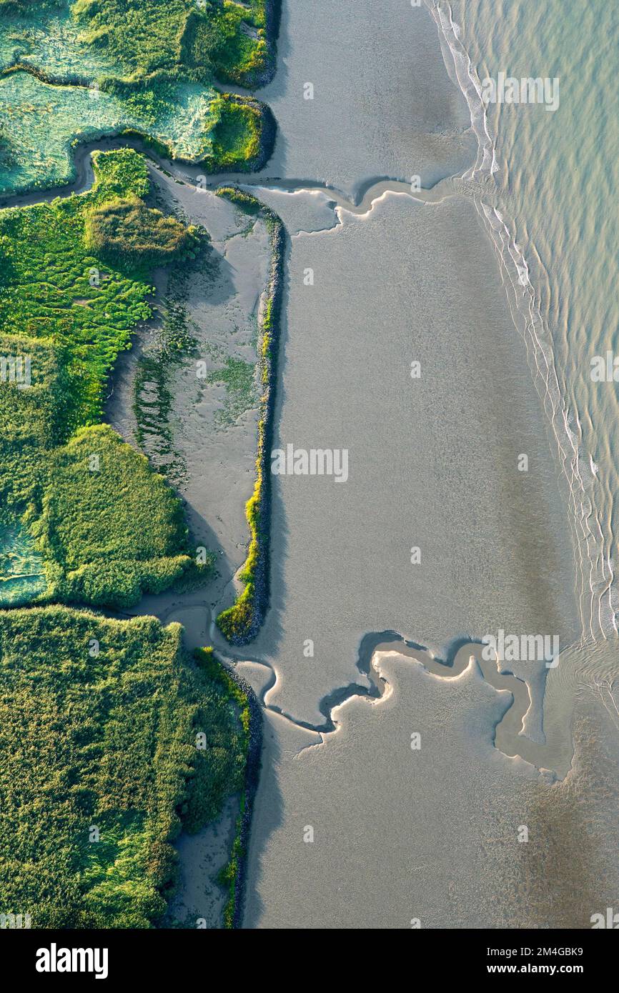 Costa del Mare del Nord con zone umide costiere, Paardenschor, vista aerea, Belgio, Anversa, Doel Foto Stock