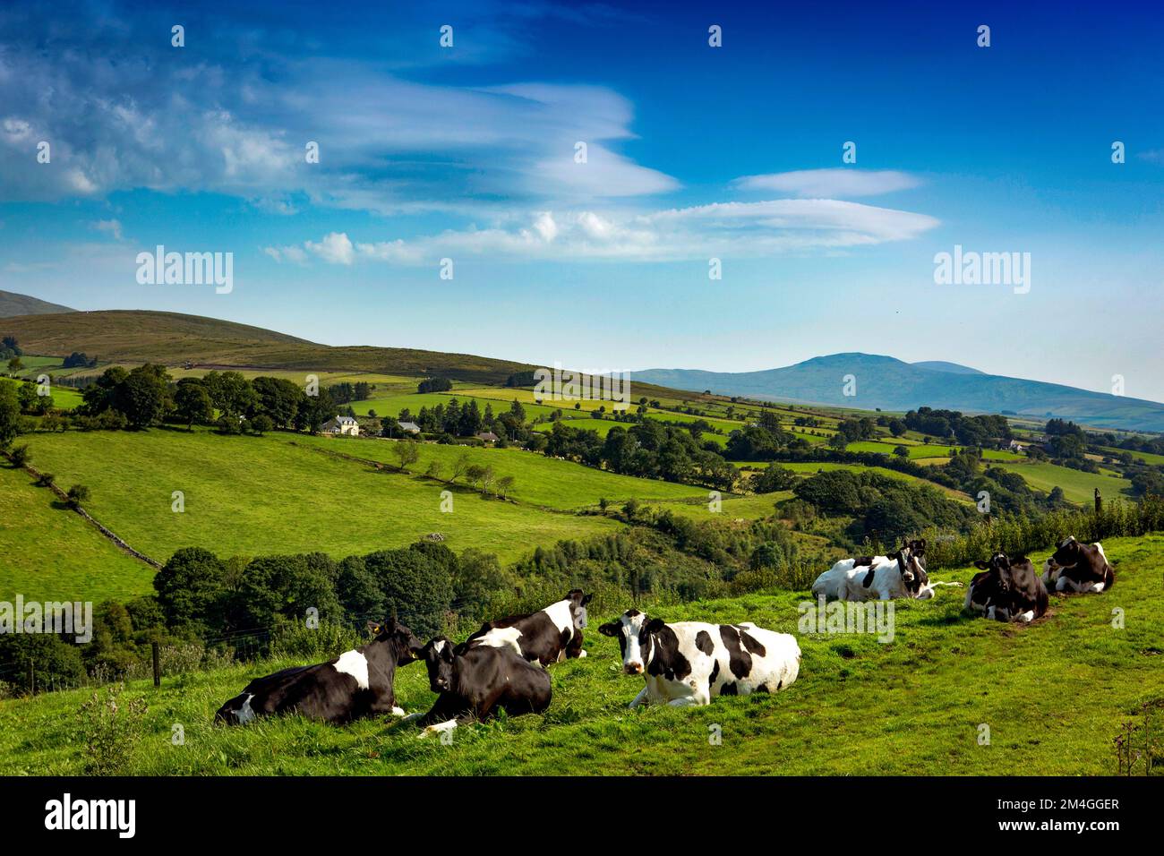 Glenelly Valley, County Tyrone, Irlanda del Nord Foto Stock