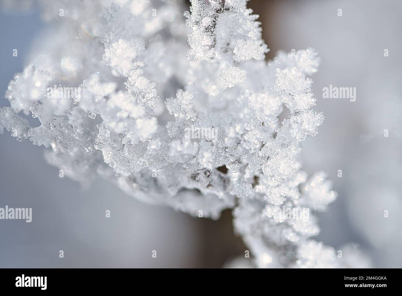 I cristalli di ghiaccio si congelano in tutte le direzioni. Si formarono abbondanti forme testurizzate e bizzarre. Inverno girato dalla natura Foto Stock