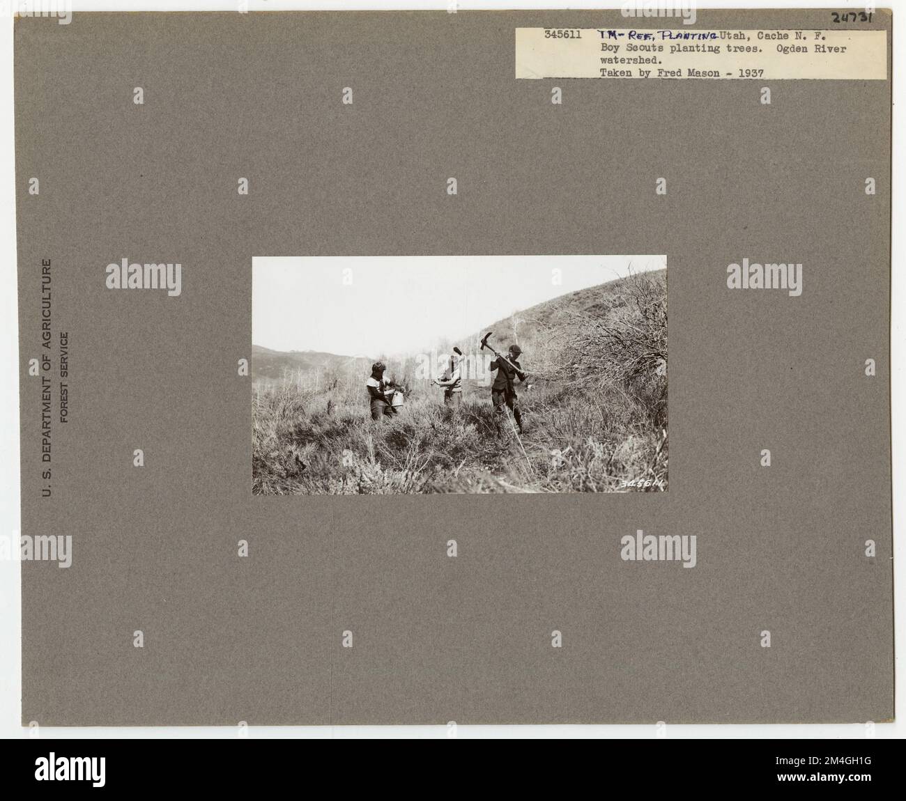 Rimboschimento: Piantando - Utah. Fotografie relative alle foreste nazionali, alle pratiche di gestione delle risorse, al personale e alla storia culturale ed economica Foto Stock