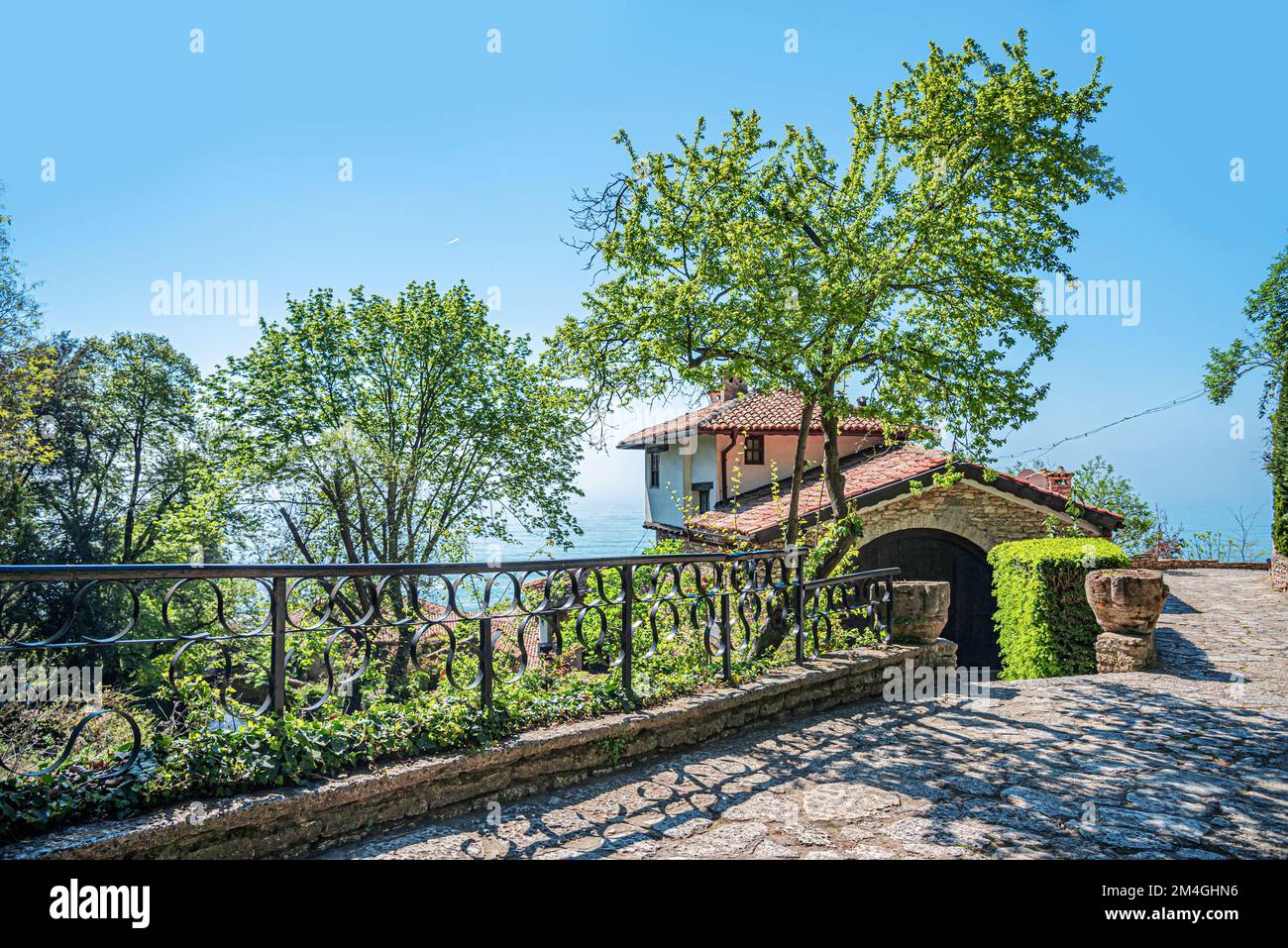Strada della città vecchia lastricata di pietra e alberi fioriti. . Foto Stock