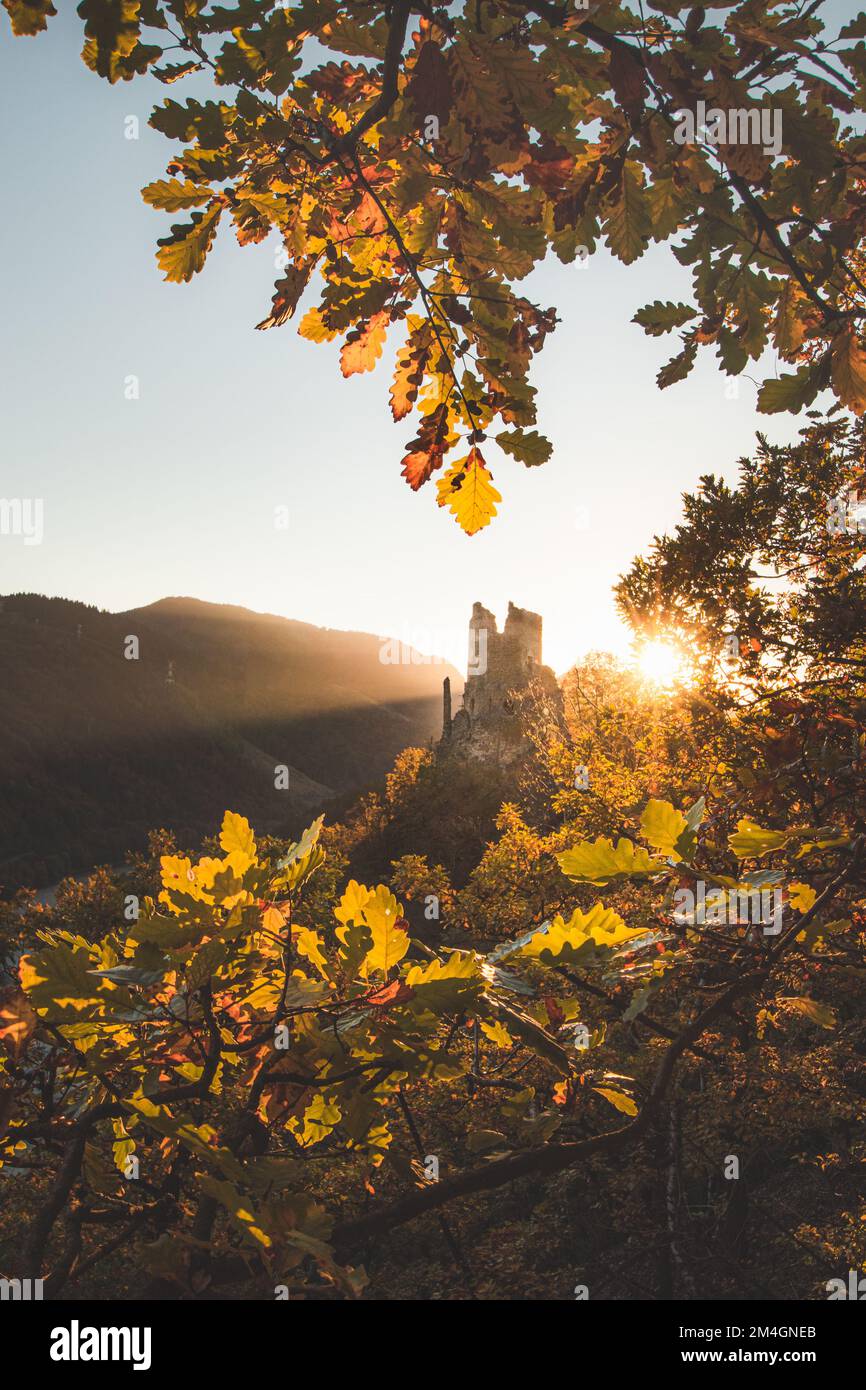 Ruderi dell'antico castello Strecno illuminati dalla luce del tramonto che torreggia su una ripida scogliera circondata da una foresta arancio-rossa in autunno. Domasinsky meandro, Z Foto Stock