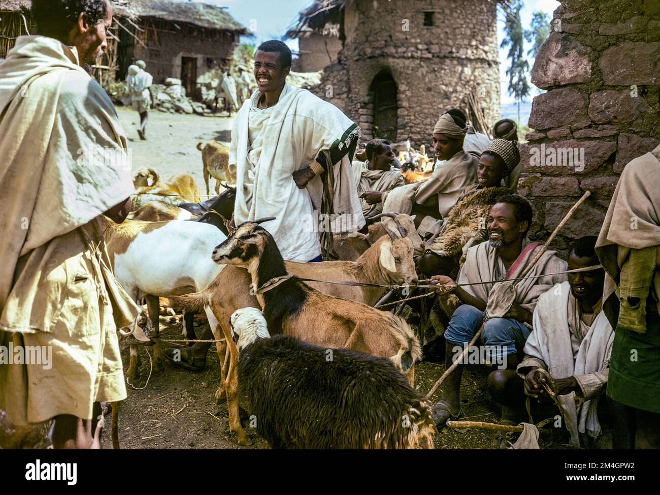 Etiopia, 1970s, mercato di Lalibela, commercianti di capra, regione di Amhara, Africa orientale, Foto Stock