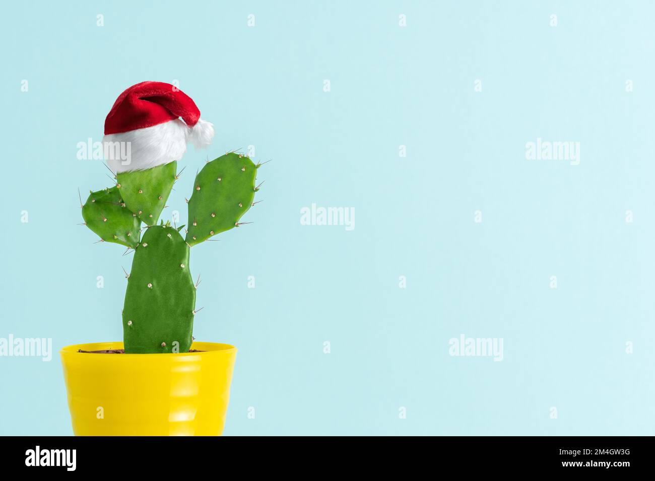 Cappello Di Natale A Forma Di Lama Cactus – Decorazione Da Albero E Festa, Regalo Creativo Adulti