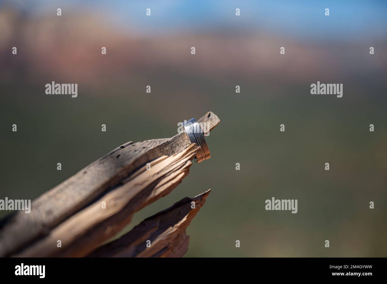 Un anello su un pezzo di legno su uno sfondo sfocato Foto Stock