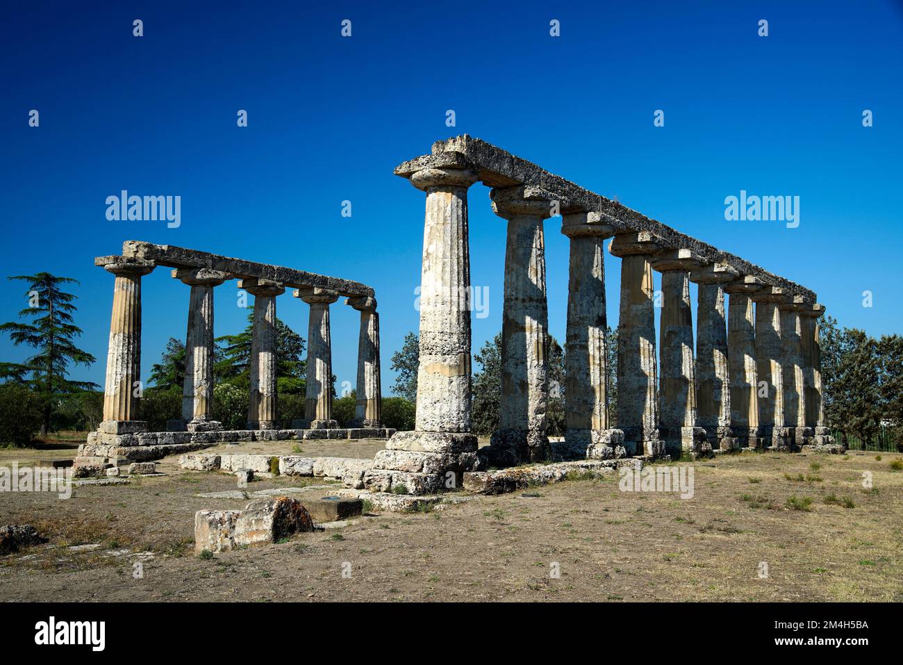 Hera Templ, Tablets Palatine, Metaponto, rovine, Sito Archeologico, Provincia di Matera, Regione Basilicata, Italia Foto Stock