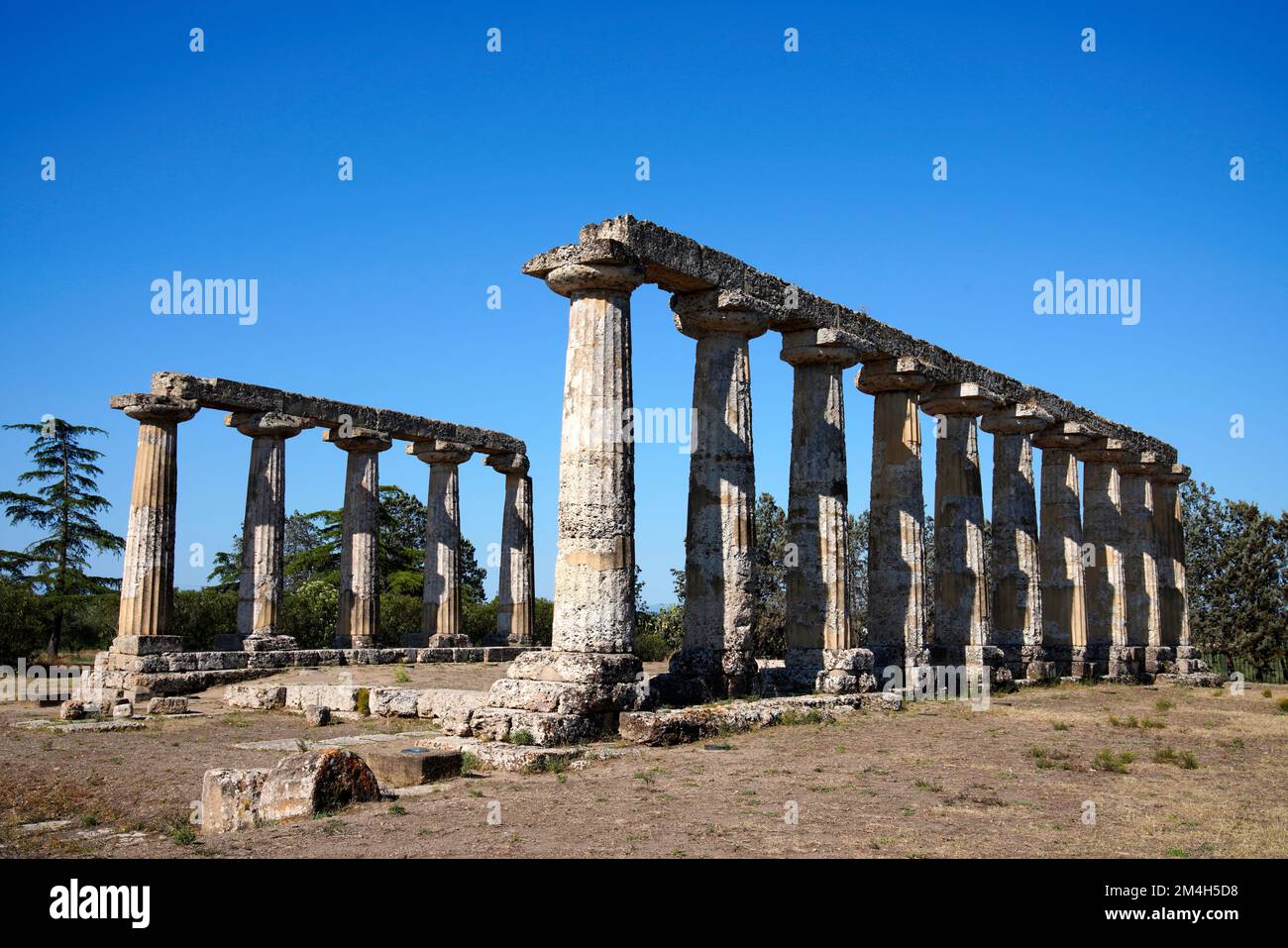 Hera Templ, Tablets Palatine, Metaponto, rovine, Sito Archeologico, Provincia di Matera, Regione Basilicata, Italia Foto Stock