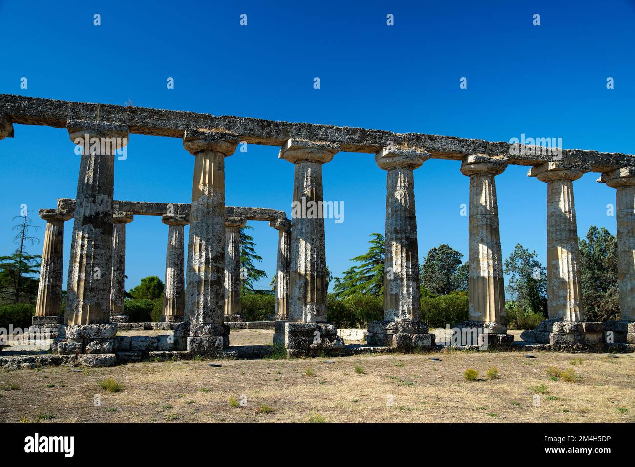 Hera Templ, Tablets Palatine, Metaponto, rovine, Sito Archeologico, Provincia di Matera, Regione Basilicata, Italia Foto Stock