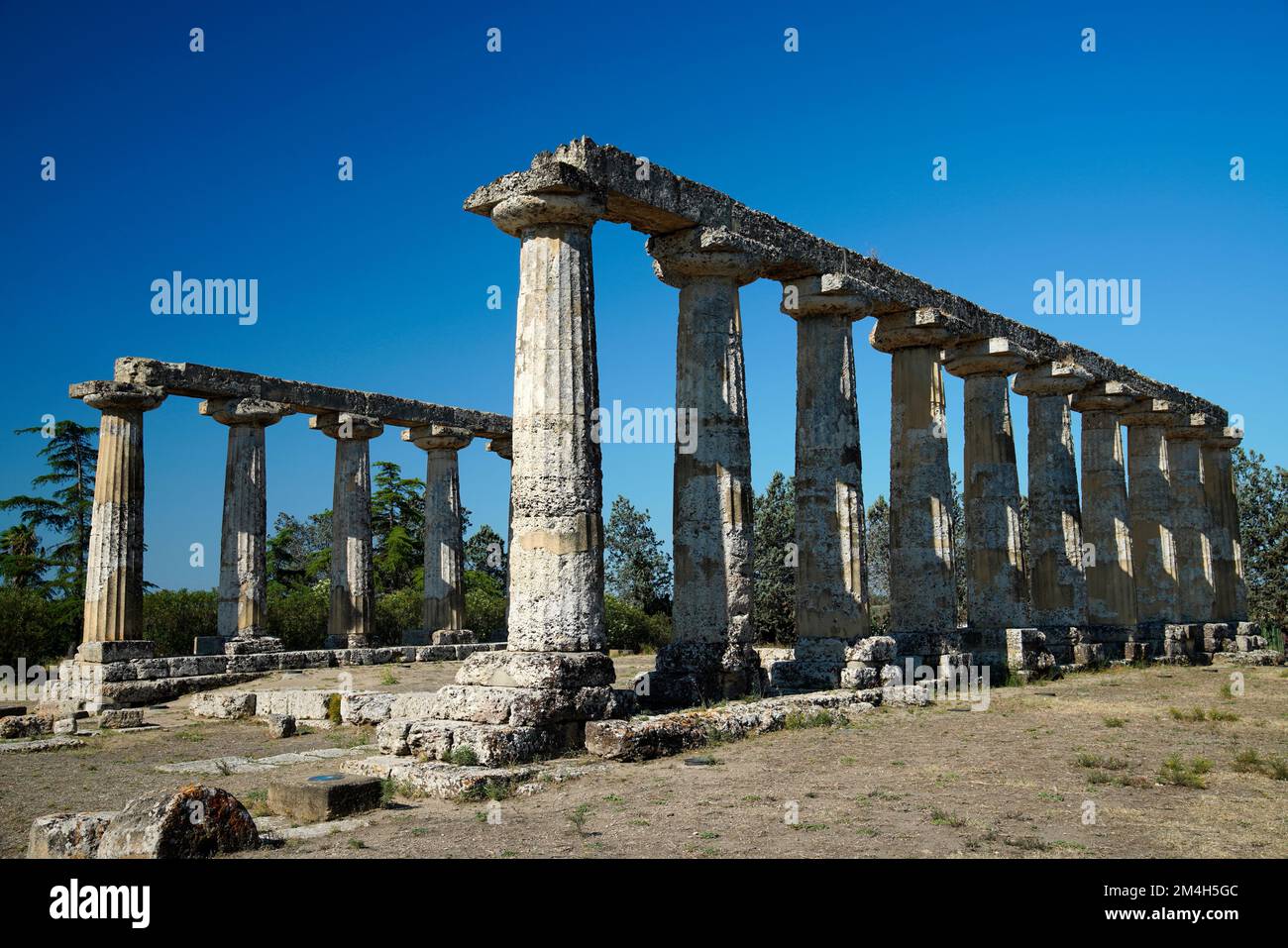 Hera Templ, Tablets Palatine, Metaponto, rovine, Sito Archeologico, Provincia di Matera, Regione Basilicata, Italia Foto Stock