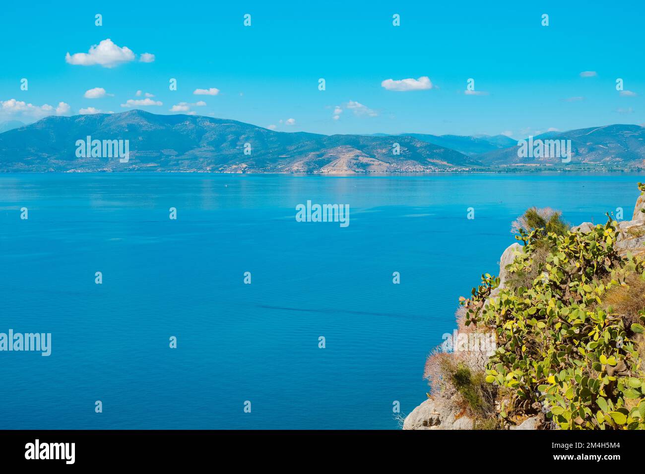 Vista sul Mar Egeo, vista dalla cima di una collina con cactus di fichi di pera, a Napflio, in Grecia Foto Stock