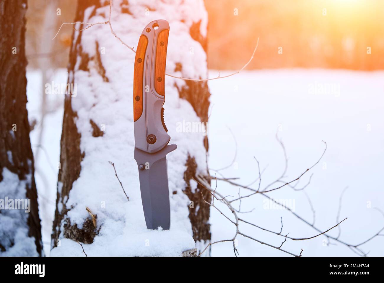 Coltello di sopravvivenza bloccato in ceppo di albero in inverno foresta coperta di neve Foto Stock