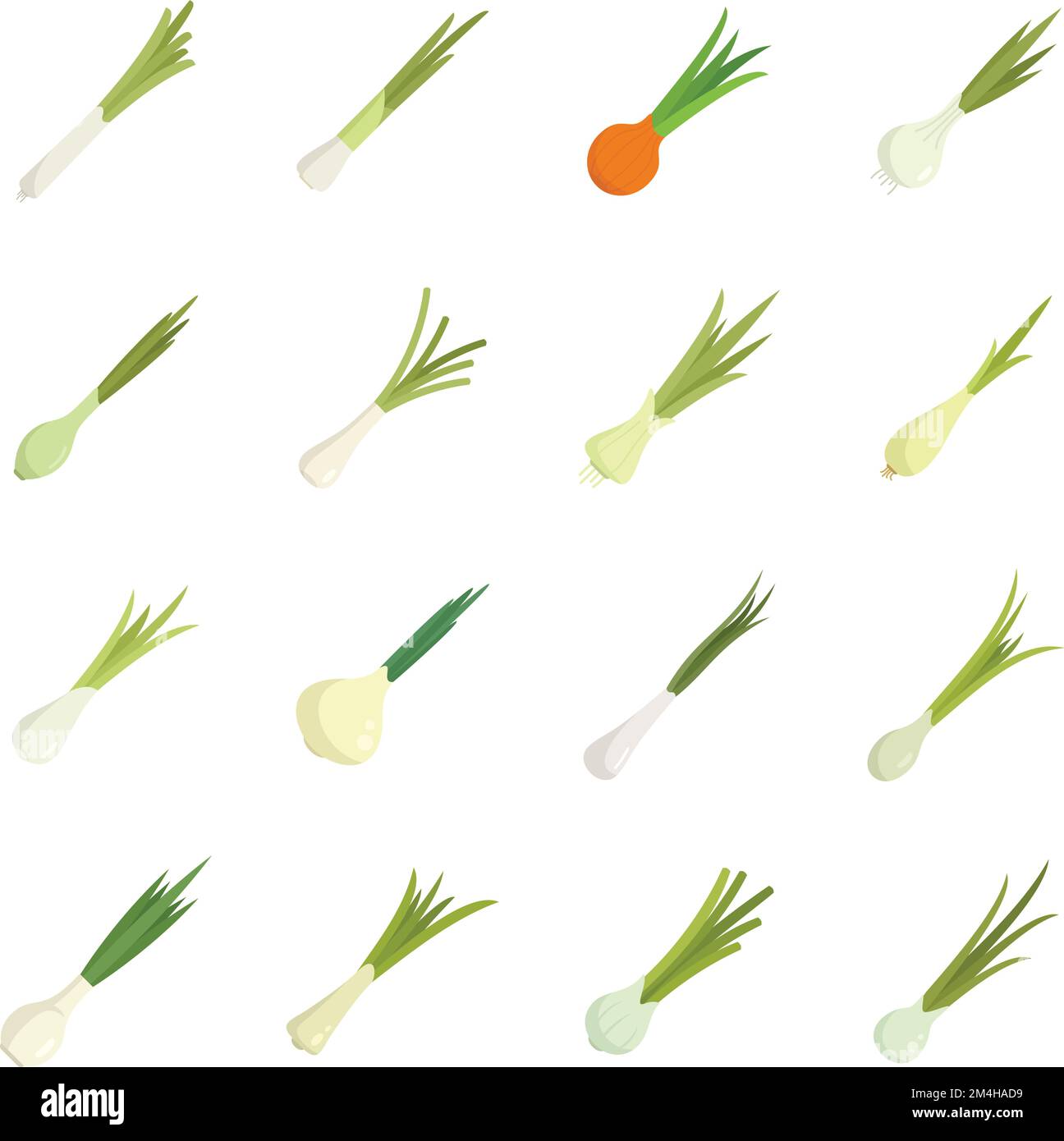 Le icone di erba cipollina impostano il vettore piatto. Agricoltura agricola. Vegetale fresco isolato Illustrazione Vettoriale