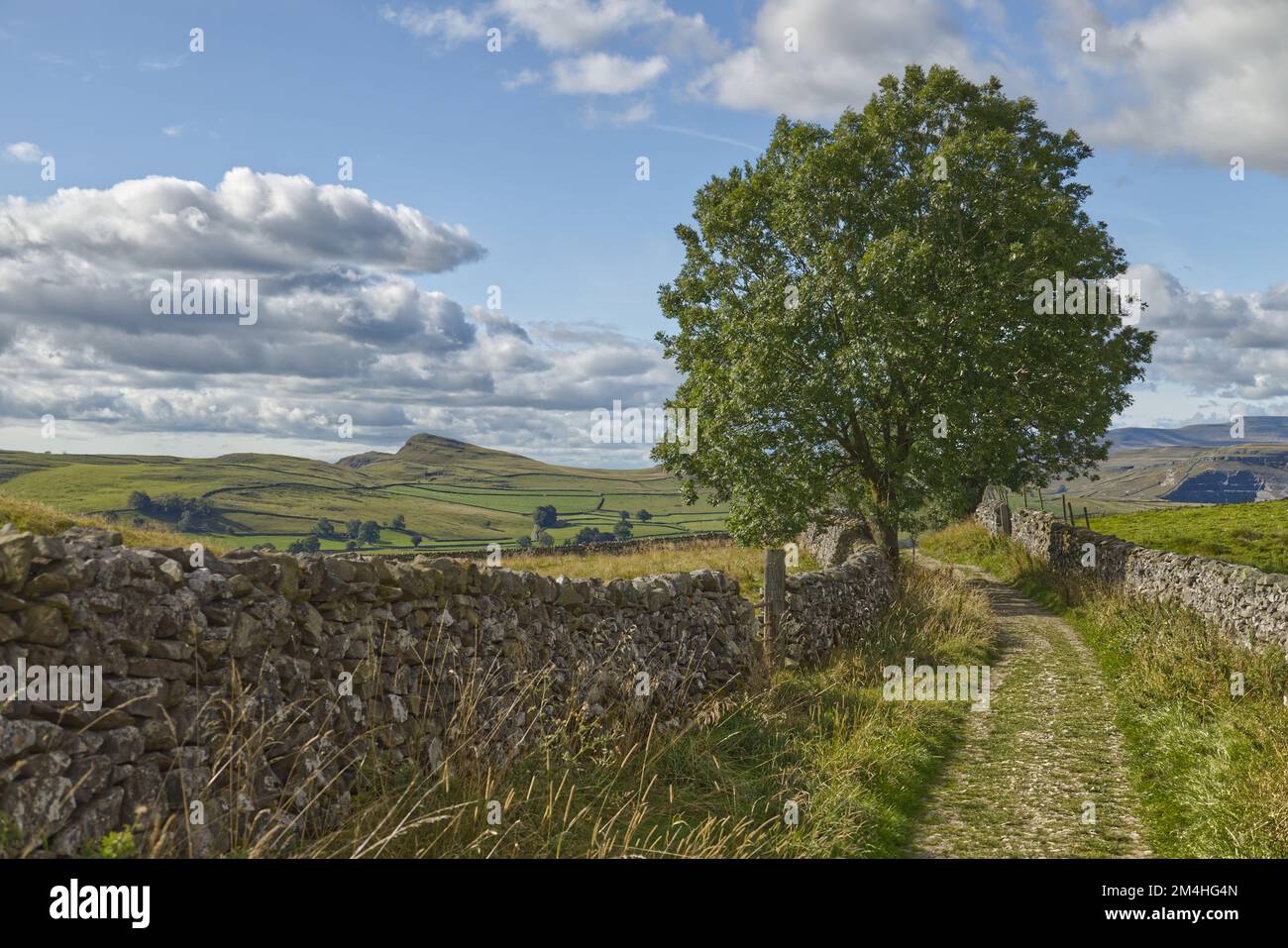Yorkshire Dales, North Yorkshire, England, UK - Old cart track tra pareti di pietra a secco con terreni agricoli e colline in lontananza Foto Stock
