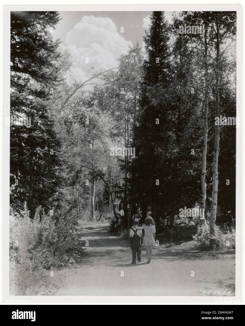 Escursioni / Equitazione - Utah. Fotografie relative alle foreste nazionali, alle pratiche di gestione delle risorse, al personale e alla storia culturale ed economica Foto Stock