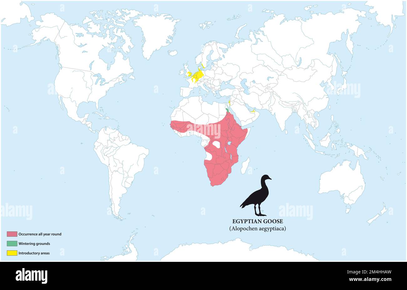 Mappa della distribuzione e dell'habitat dell'oca egiziana Foto Stock