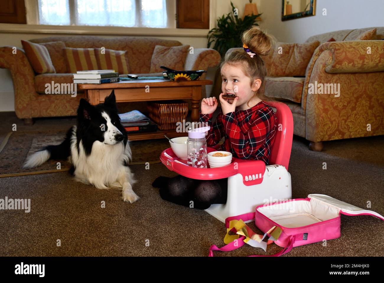 Bambino che mangia a casa guardato da cane da compagnia Gran Bretagna 2022 Foto Stock