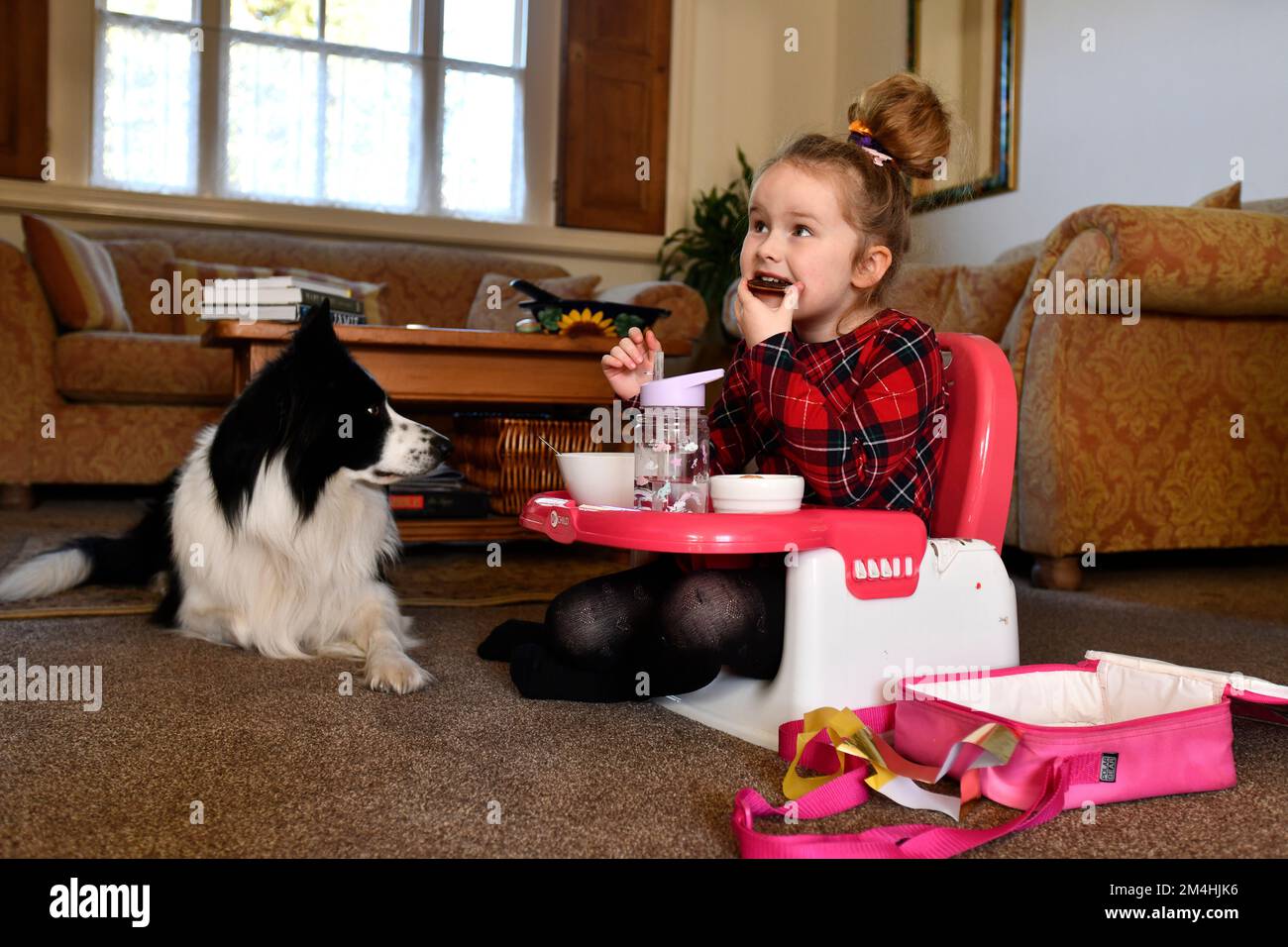 Bambino che mangia a casa guardato da cane da compagnia Gran Bretagna 2022 Foto Stock