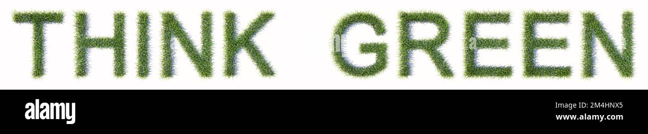 Concetto concettuale erba verde prato che forma il TESTO VERDE PENSARE isolato su sfondo bianco. 3d metafora illustrativa per l'ecologia, l'ambiente Foto Stock