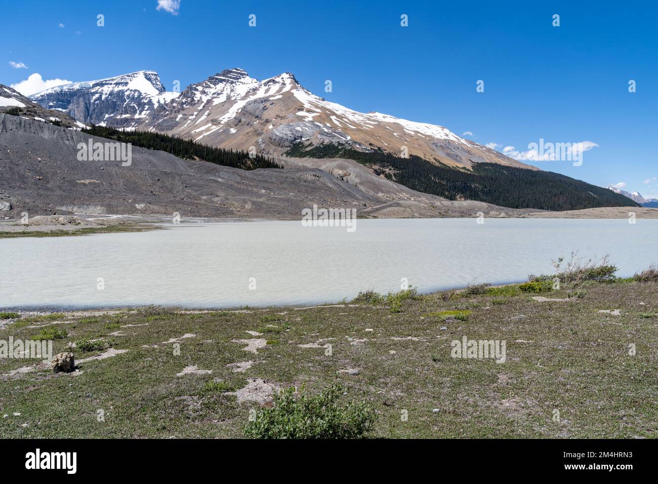 Il fiume Athabasca con limo glaciale dal runoff, nelle Montagne Rocciose Canadesi Foto Stock