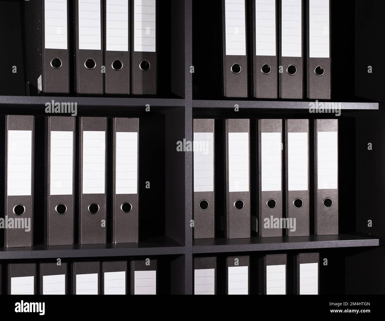 Riga delle cartelle aziendali, raccoglitori per ufficio, file, documenti  finanziari sullo scaffale. Concetto di archivio. Foto di alta qualità Foto  stock - Alamy