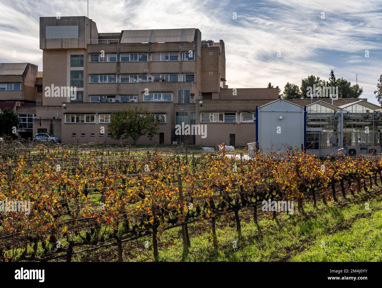 Palma de Mallorca, Spagna; dicembre 15 2022: Centro di ricerca con una coltivazione di vigneti e una serra metallica presso l'Università delle Baleari Isla Foto Stock