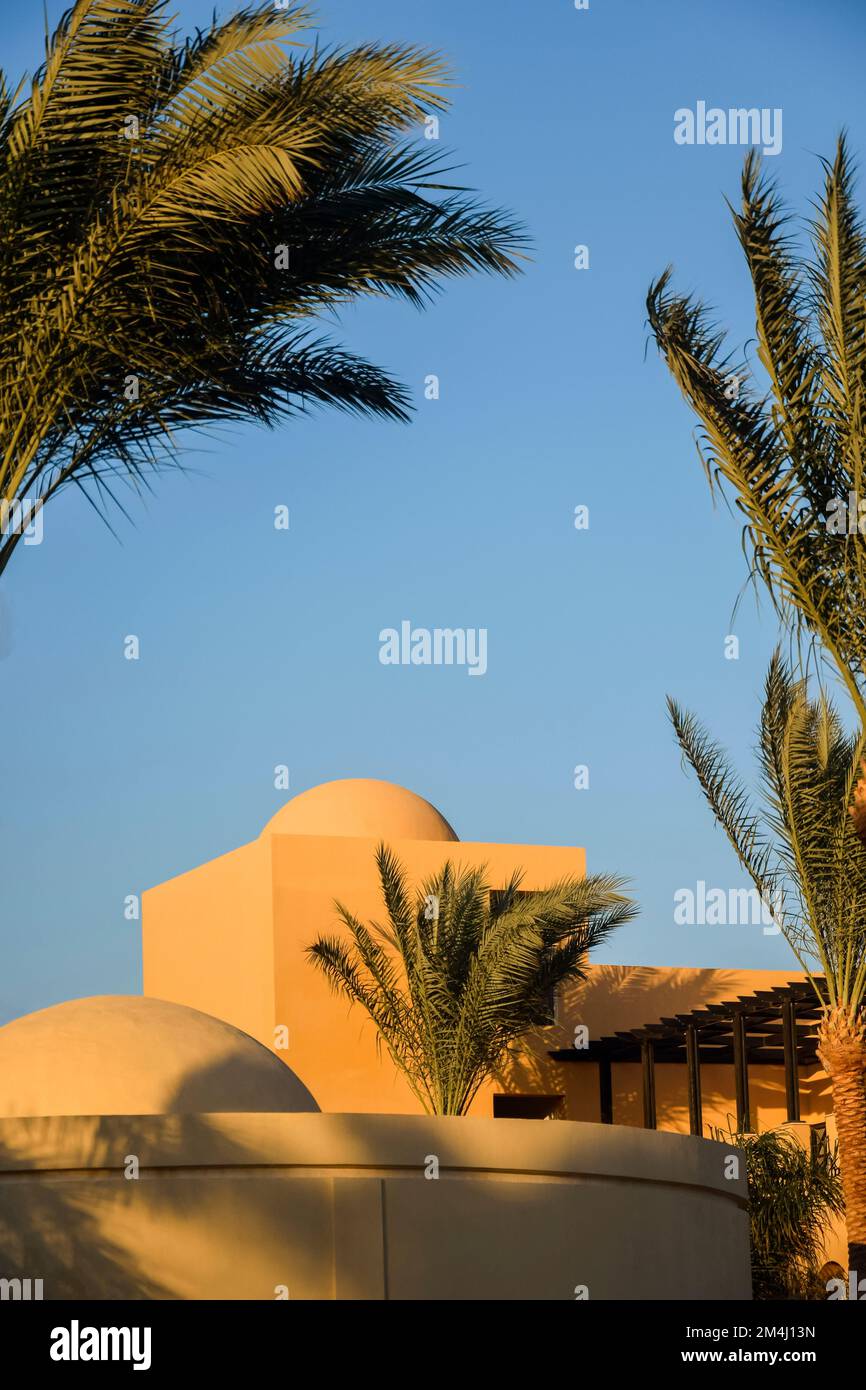 Tetto con cupole di edificio arabo e palme in caldo giorno di sole contro il cielo limpido. Esterno della casa egiziana. Spazio di copia. Messa a fuoco selettiva. Foto Stock