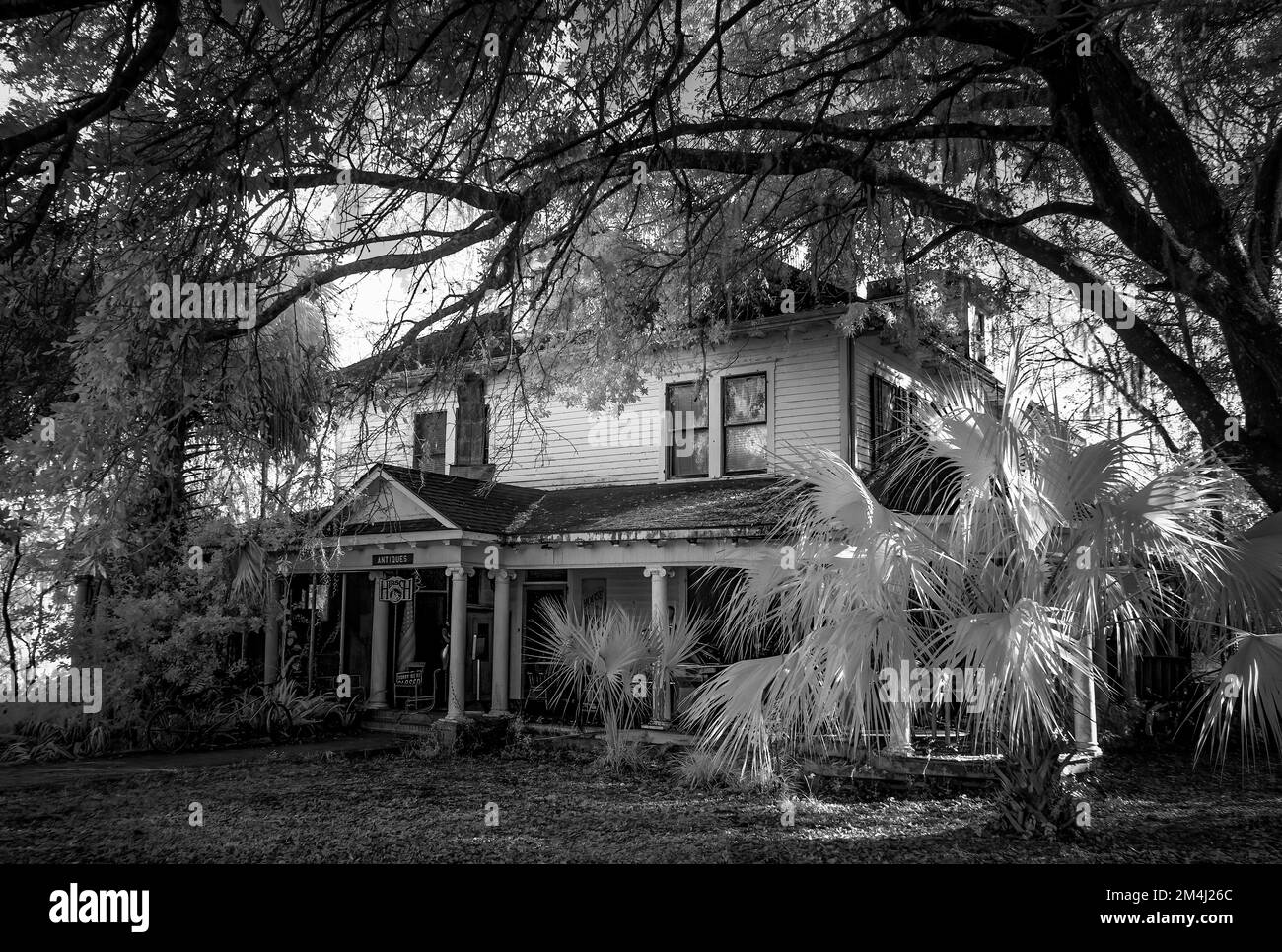 Bianco e nero di vecchio edificio nella storica Micanopy Florida USA Foto Stock