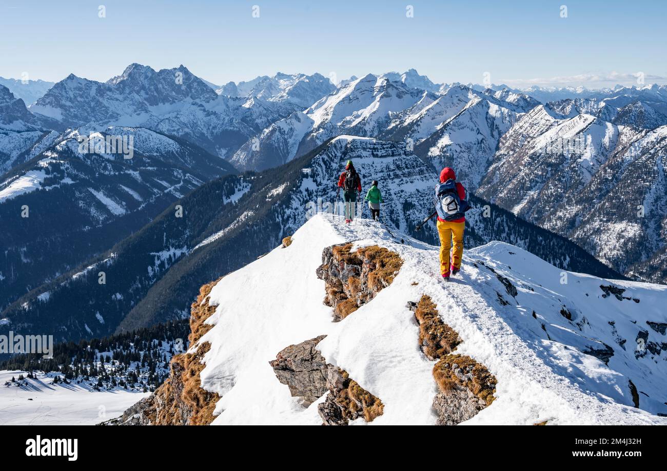 Alpinisti in inverno nella neve, am Schafreuter, Monti Karwendel, Alpi in bel tempo, Baviera, Germania Foto Stock
