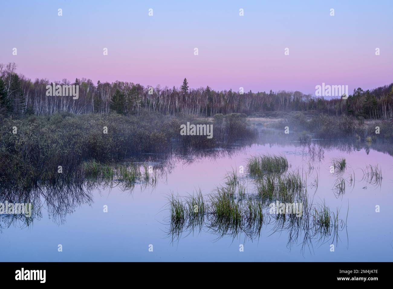 Nebbie mattutine all'alba su uno stagno dei castori all'inizio della primavera, Greater Sudbury, Ontario, Canada Foto Stock