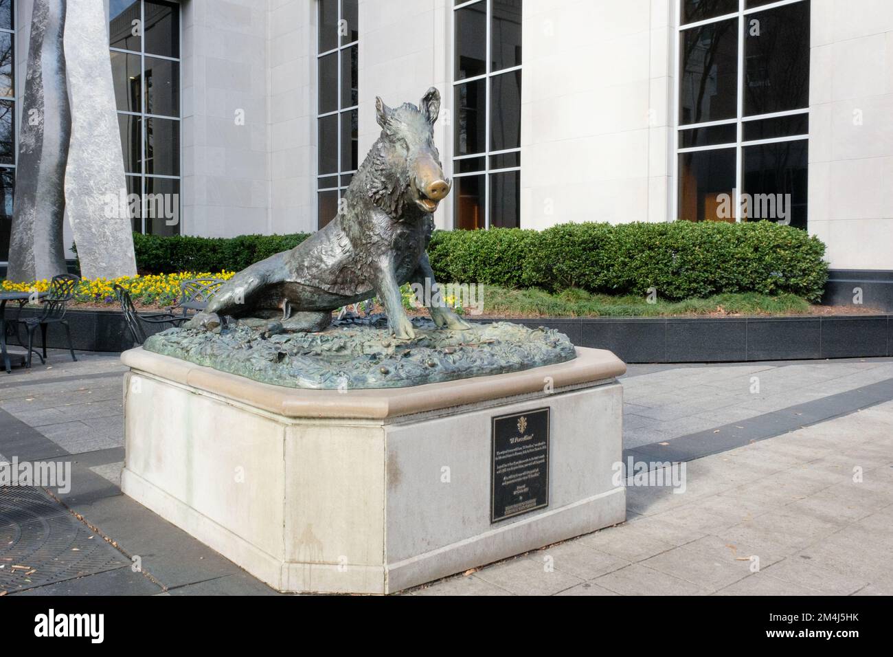 Statua di un cinghiale nel centro di Greenville, South Carolina. Foto Stock