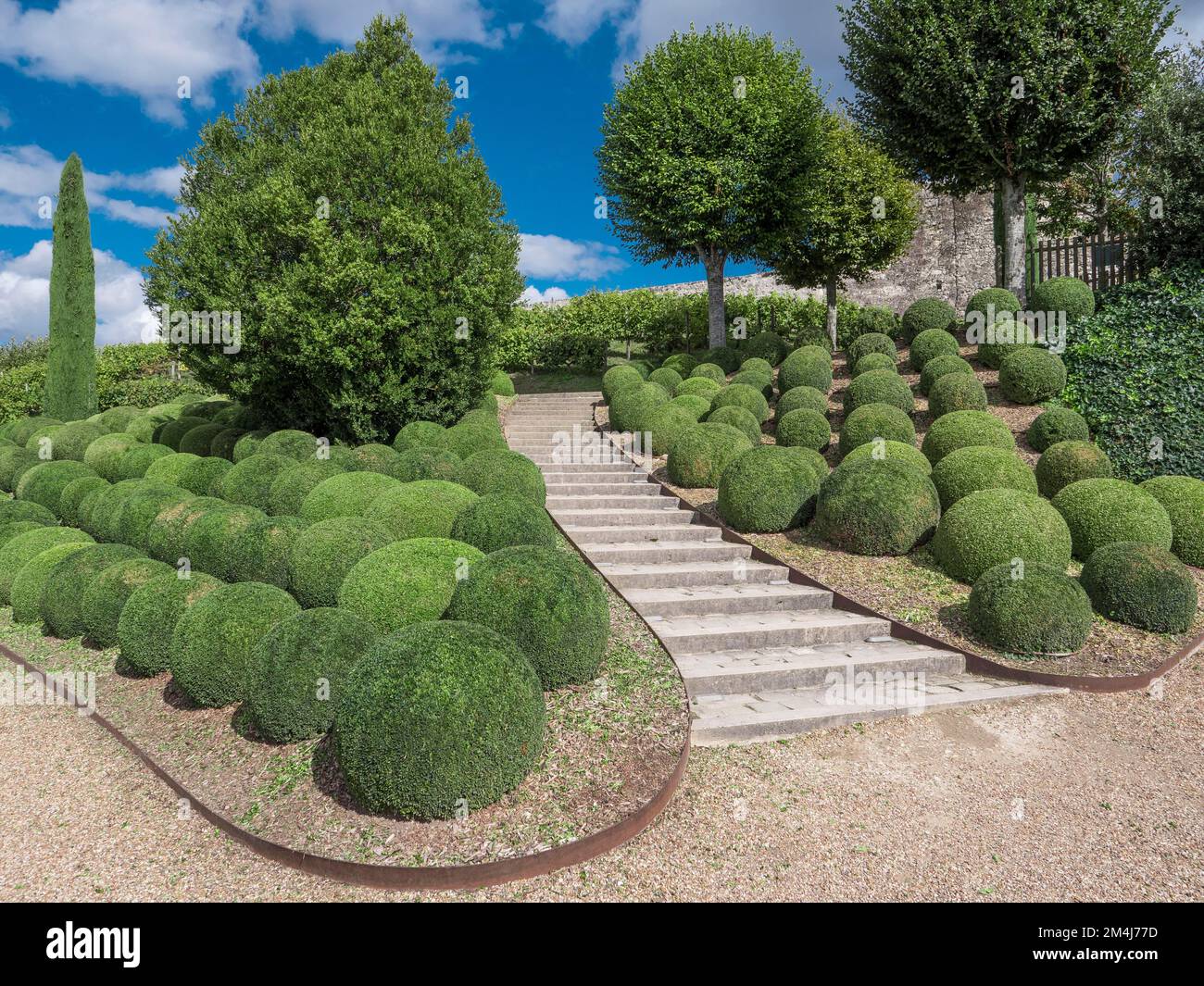 Giardini del Castello rinascimentale di Amboise, Patrimonio dell'Umanità dell'UNESCO, Valle della Loira, Dipartimento Indre et loire, Centre-Val de Loire, Francia Foto Stock
