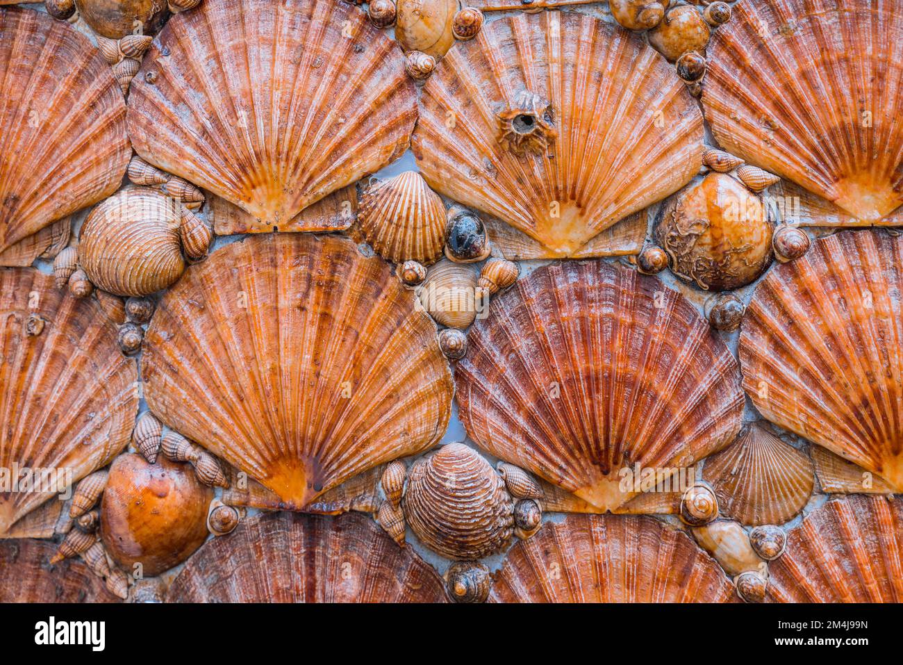 Casa de las Conchas - la casa di Shell, nel quartiere di San Roque, è una casa con una facciata completamente coperta di conchiglie di forme diverse. Tazon Foto Stock