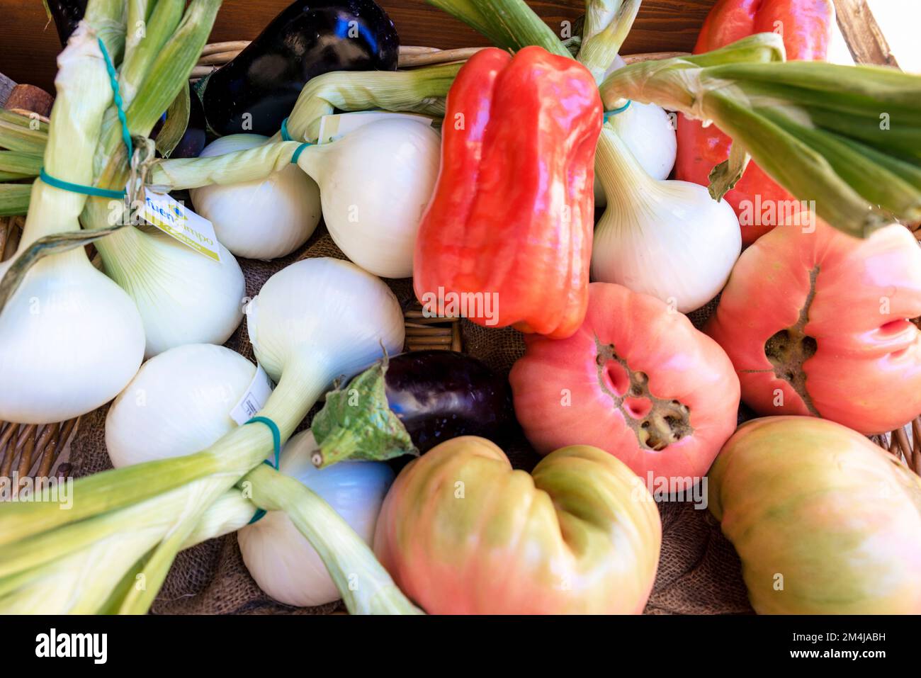 Dettaglio. Verdure biologiche sulla vetrina di negozio alimentare. LaGuardia, Álava, Paesi Baschi, Spagna, Europa Foto Stock