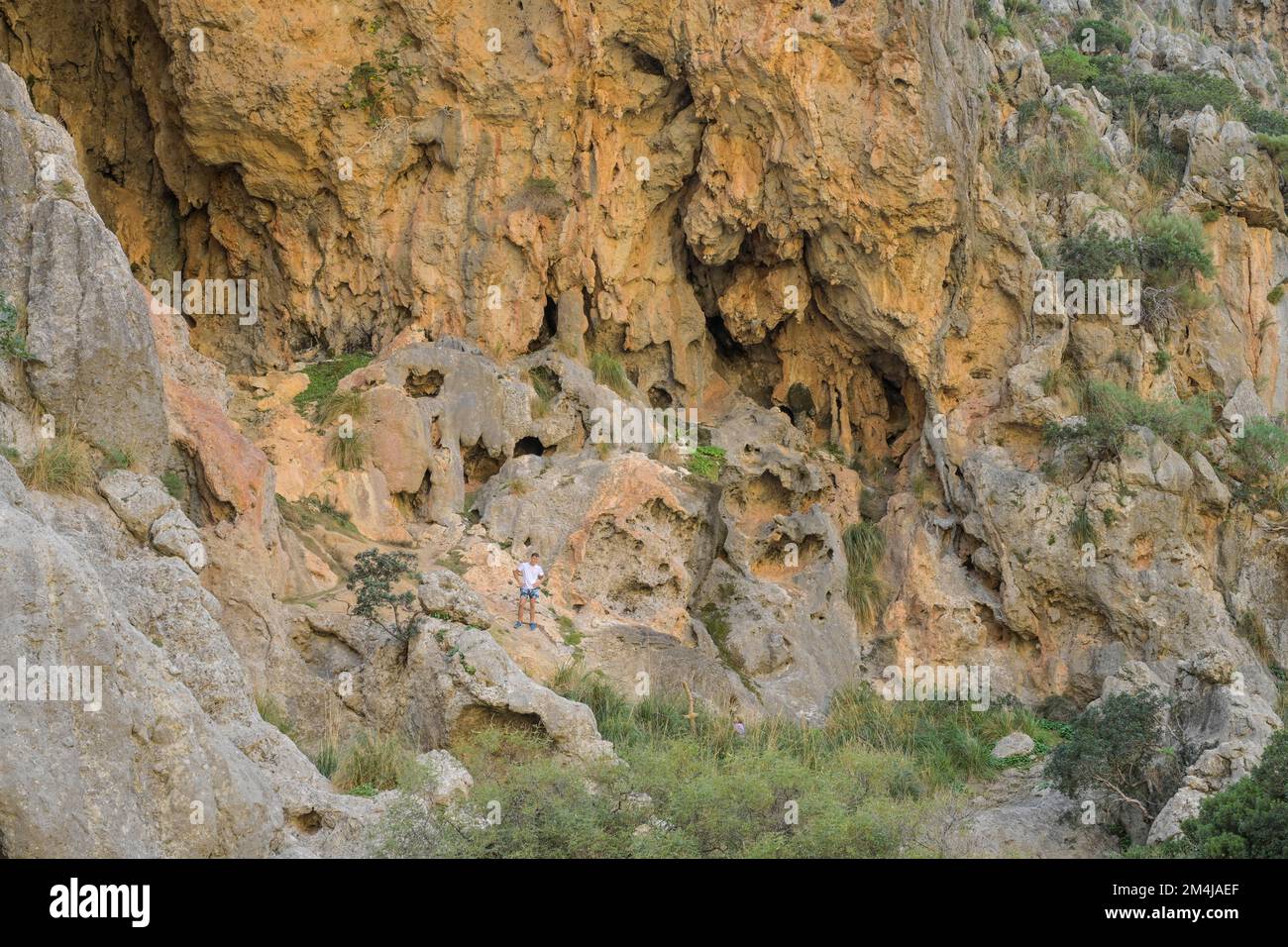Schlucht Torrent de Pareis, Karstfelsen nahe des Ausgang, Mallorca, Spanien Foto Stock